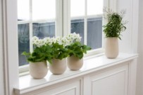Bí quyết bố trí, sắp xếp nhà ở giúp cải tạo vận mệnh