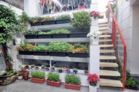 Cách chống nắng cho căn hộ hướng Tây độc đáo