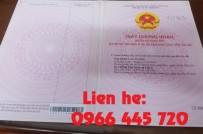 CẦN SANG GẤP 2 LÔ ĐẤT CHÍNH CHỦ - SỔ HỒNG RIÊNG