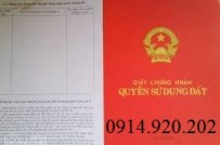 Bán đất dự án Điền Phúc Thành, đối diện công viên, vị trí đẹp, giá 16tr/m2, LH 0914920202