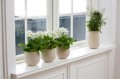 Bí quyết bố trí, sắp xếp nhà ở giúp cải tạo vận mệnh